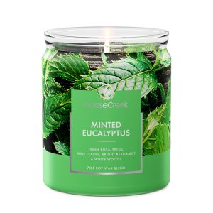 Minted Eucalyptus 7oz Single Wick Candle